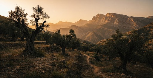 Paysage de Kabylie au lever du jour